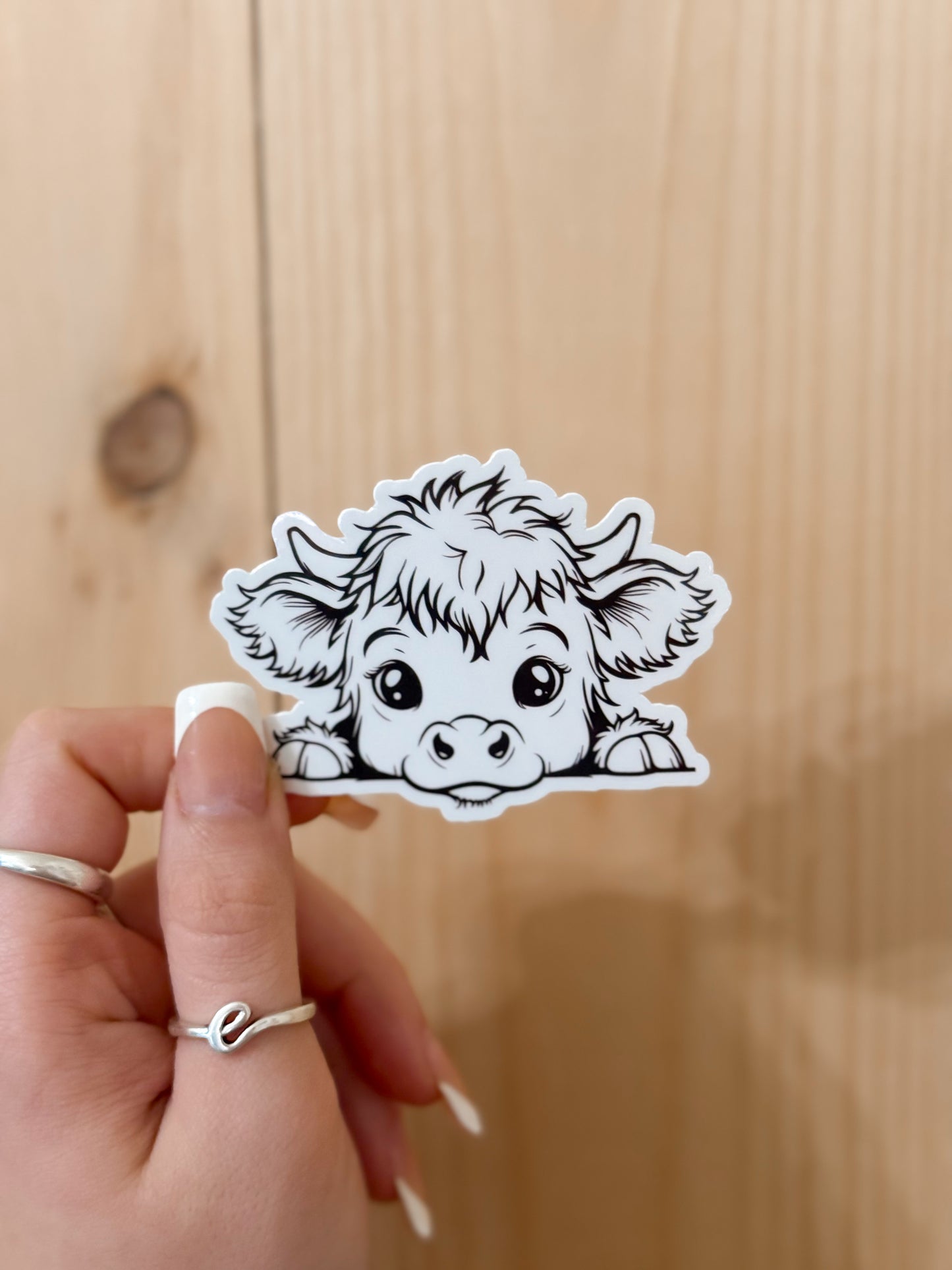 DOODLE HIGHLAND COW STICKER